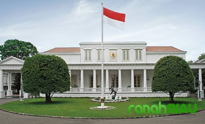 Drama Kartu Istana Berakhir: CNN Indonesia Menang, Istana minta Maaf!